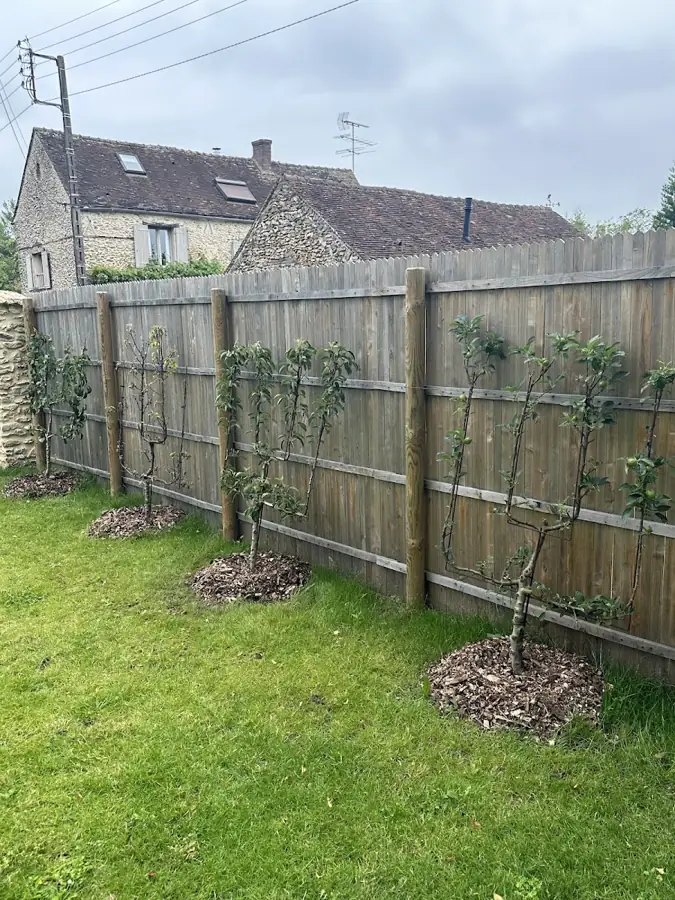 Clôture bois et arbres palissés